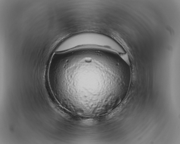 X0000112880058200909111452