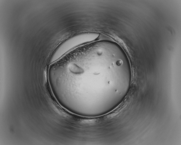 X0000112880061200909111452