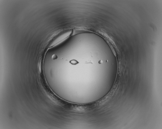 X0000112880062200909111452