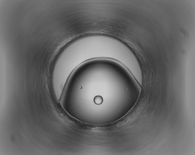 X0000112880064200909111452