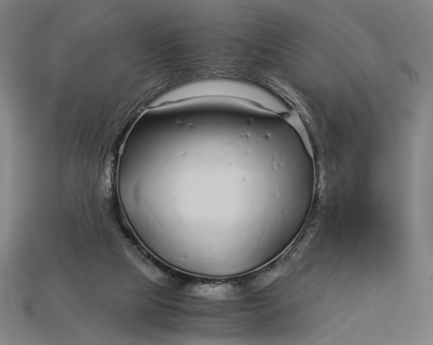 X0000112880065200909111452