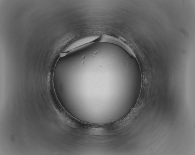 X0000112880066200909111452