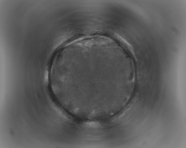 X0000112880067200909111452