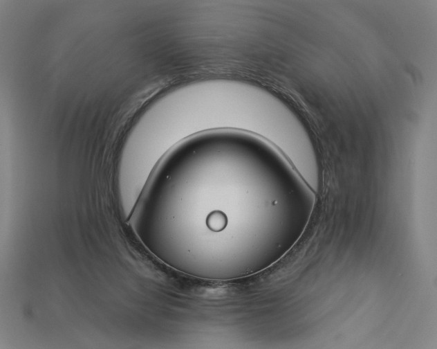 X0000112880068200909111452