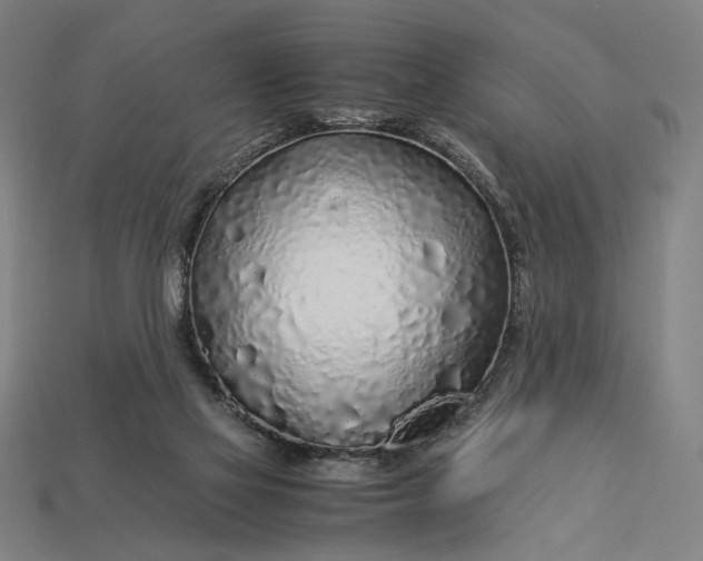 X0000112880069200909111452