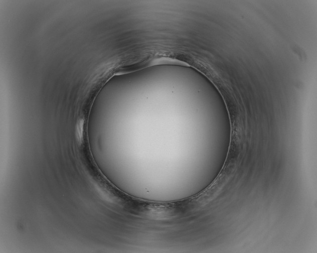 X0000112880070200909111452