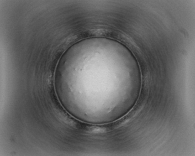 X0000112880073200909111452