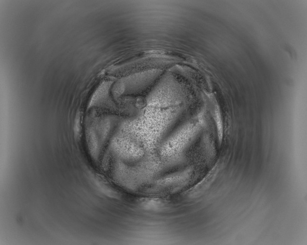 X0000112880074200909111452