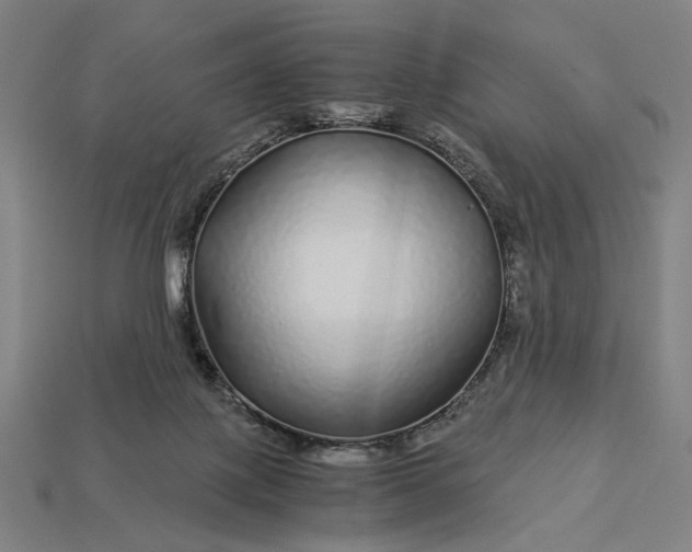 X0000112880075200909111452