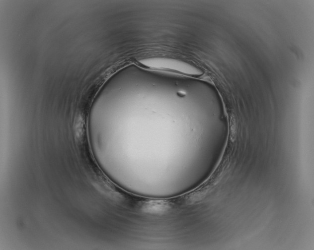 X0000112880077200909111452