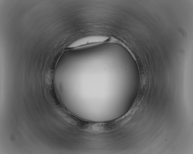 X0000112880078200909111452