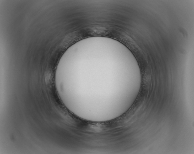 X0000112880079200909111452