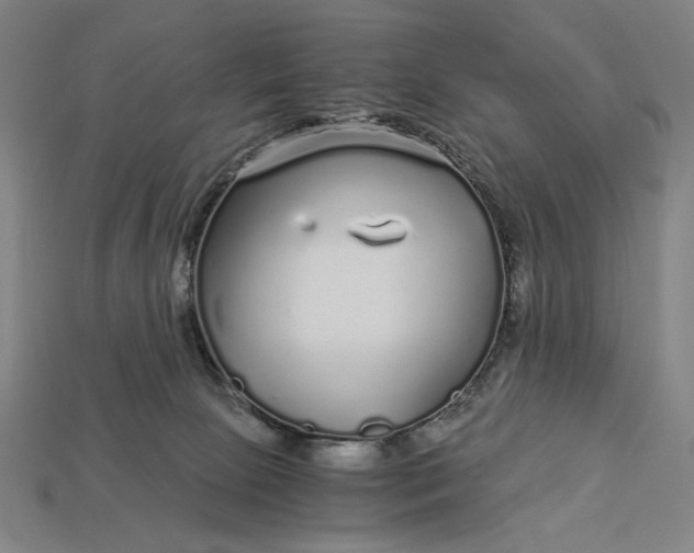 X0000112880081200909111452