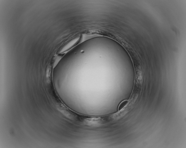 X0000112880082200909111452