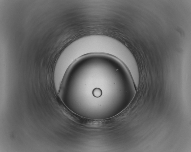 X0000112880084200909111452