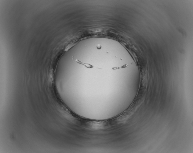 X0000112880085200909111452