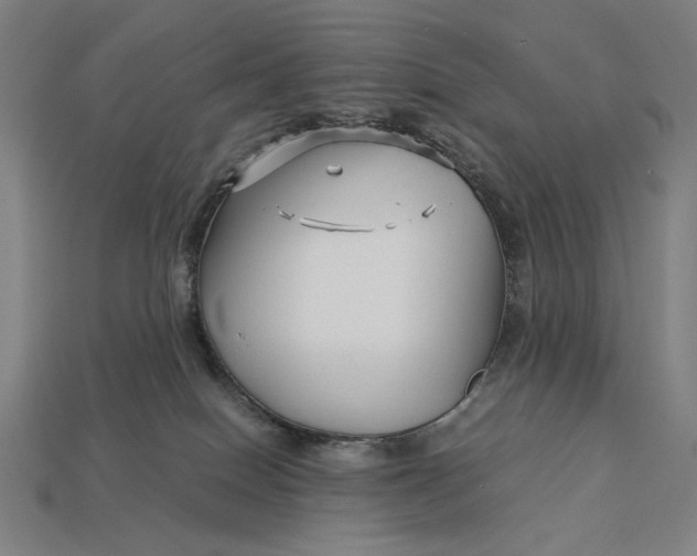 X0000112880086200909111452