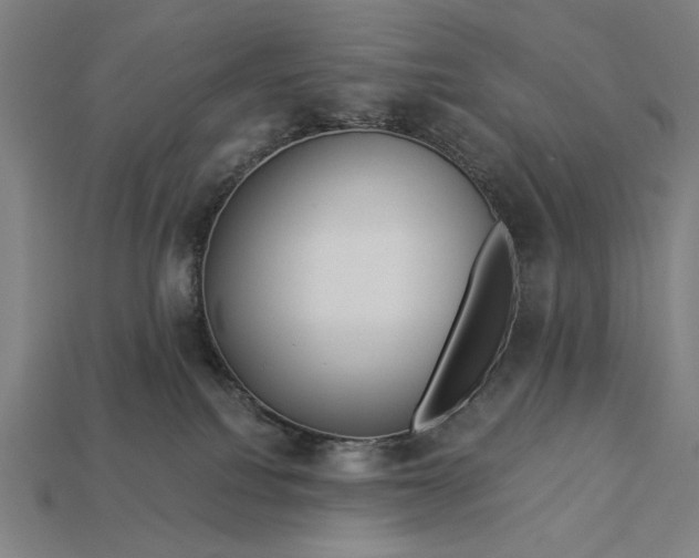 X0000112880088200909111452