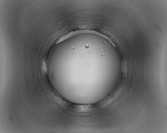 X0000112880089200909111452