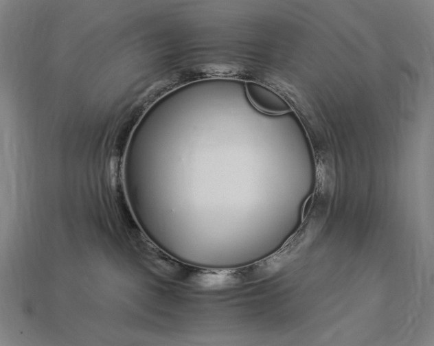 X0000112880093200909111452