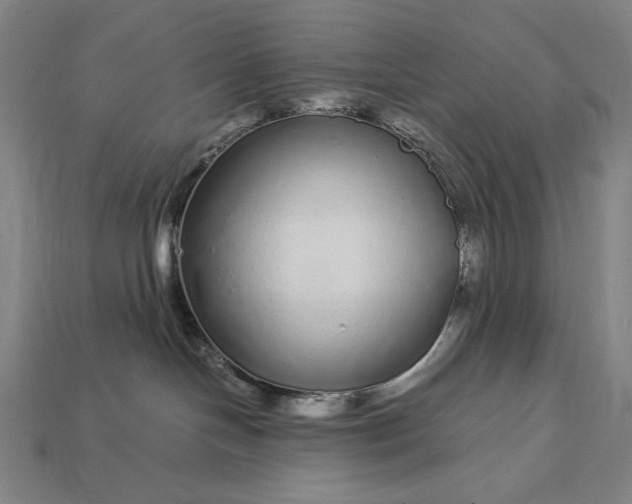 X0000112880094200909111452