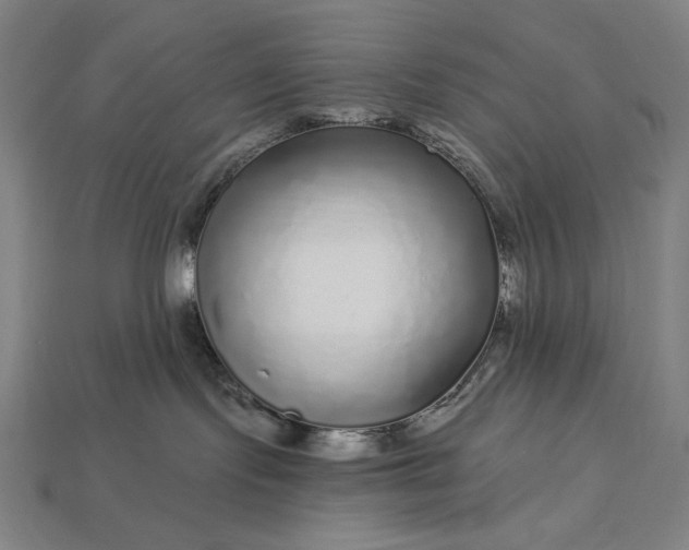 X0000112880095200909111452