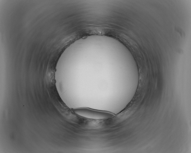 X0000112880096200909111452