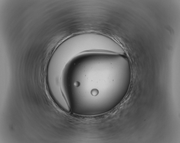 X0000112880097200909111452