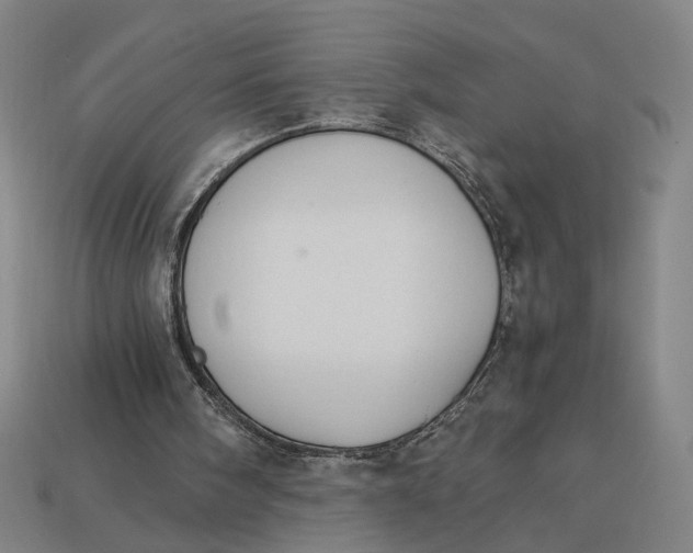 X0000112880098200909111452