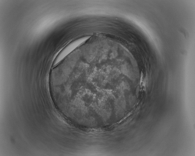 X0000112880099200909111452