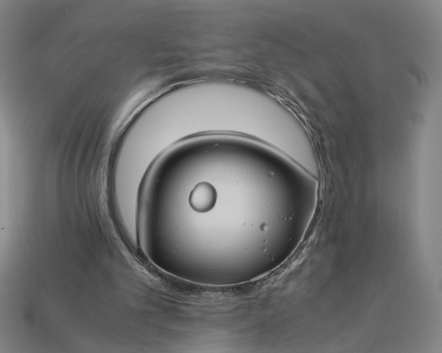 X0000112880101200909111452