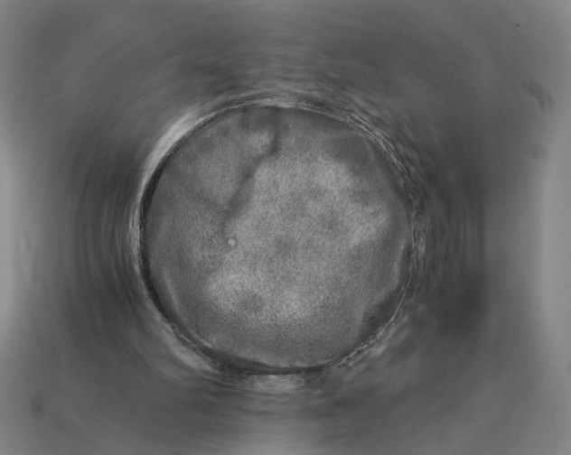 X0000112880102200909111452