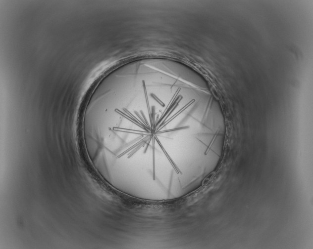 X0000112880104200909111452