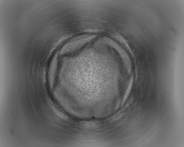 X0000112880106200909111452