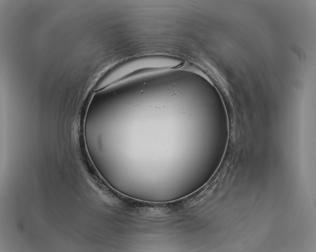 X0000112880107200909111452