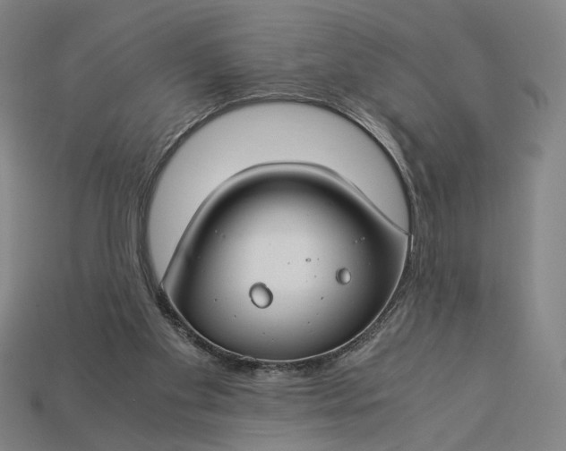 X0000112880109200909111452