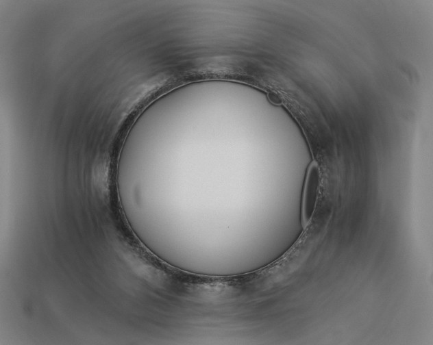 X0000112880112200909111452