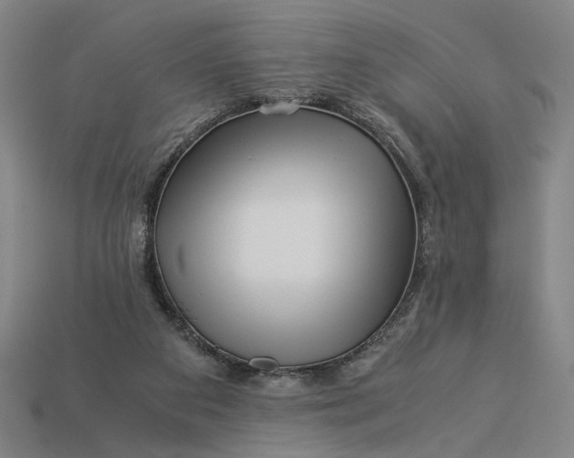 X0000112880113200909111451