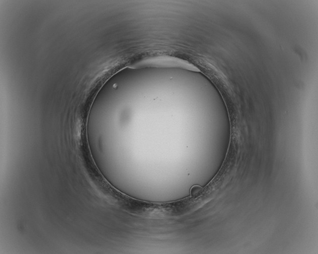 X0000112880115200909111451