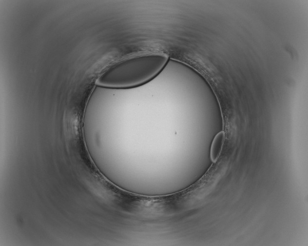 X0000112880117200909111451