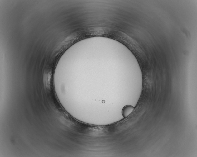 X0000112880118200909111451