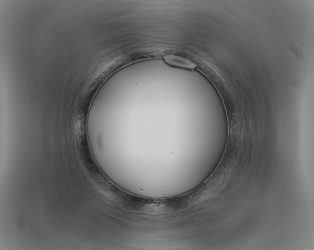 X0000112880119200909111451