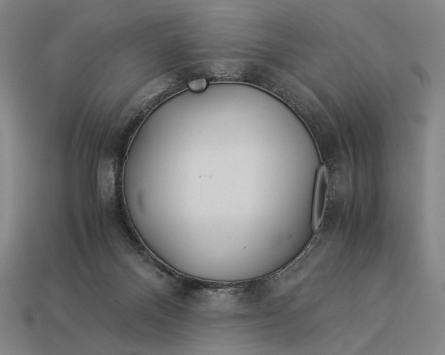 X0000112880120200909111451