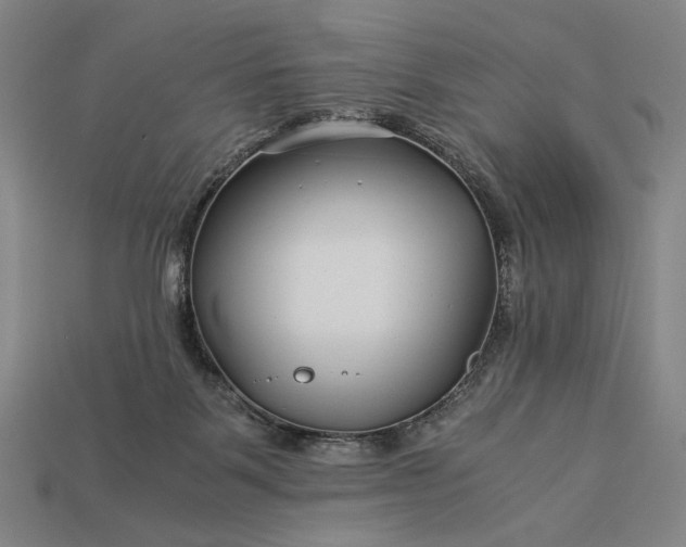 X0000112880123200909111451