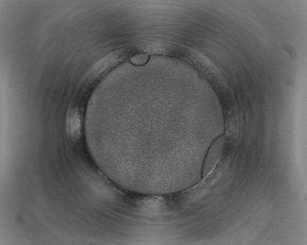 X0000112880124200909111451