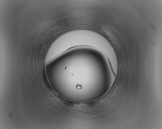 X0000112880125200909111451