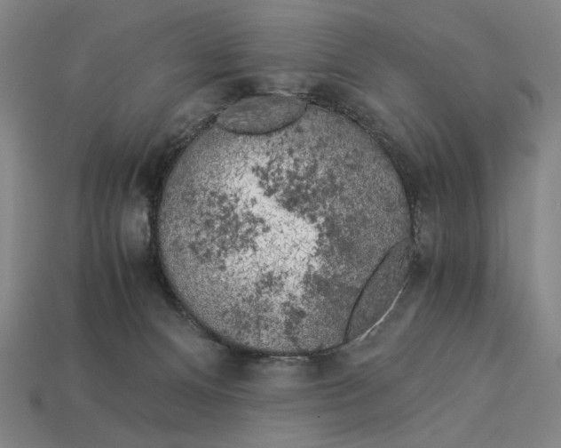 X0000112880128200909111451