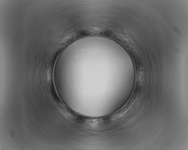 X0000112880131200909111451