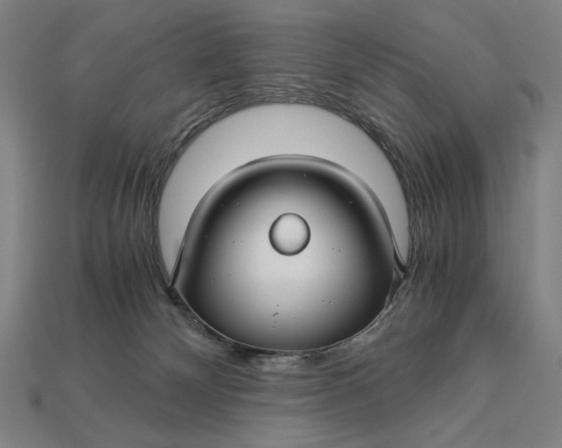 X0000112880132200909111451