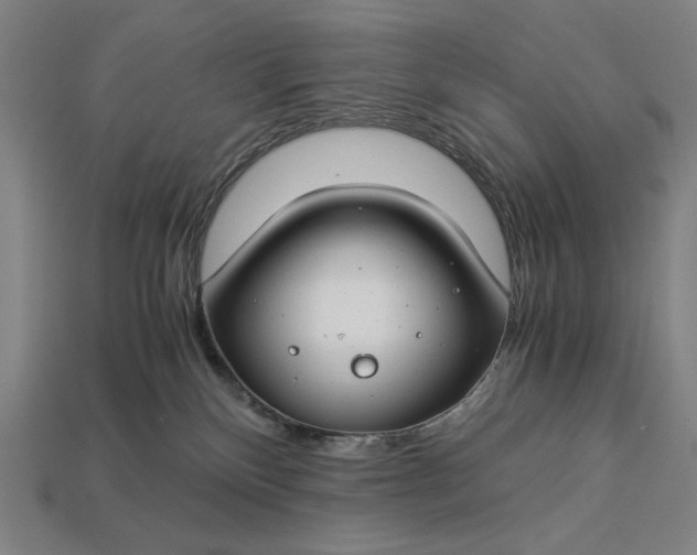 X0000112880136200909111451